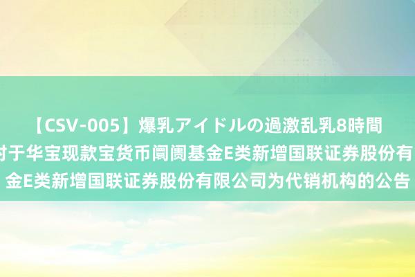 【CSV-005】爆乳アイドルの過激乱乳8時間 华宝现款宝E: 华宝基金对于华宝现款宝货币阛阓基金E类新增国联证券股份有限公司为代销机构的公告