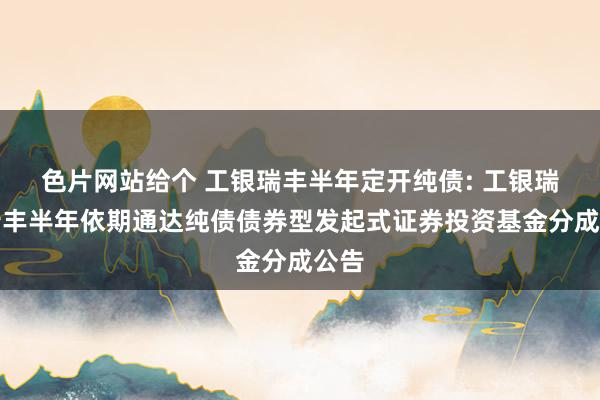 色片网站给个 工银瑞丰半年定开纯债: 工银瑞信瑞丰半年依期通达纯债债券型发起式证券投资基金分成公告