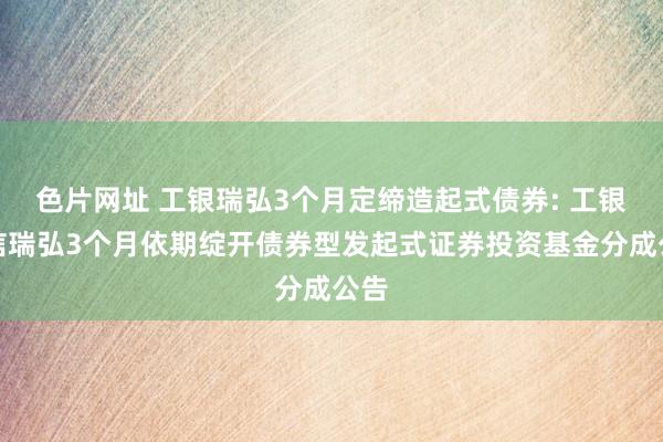 色片网址 工银瑞弘3个月定缔造起式债券: 工银瑞信瑞弘3个月依期绽开债券型发起式证券投资基金分成公告