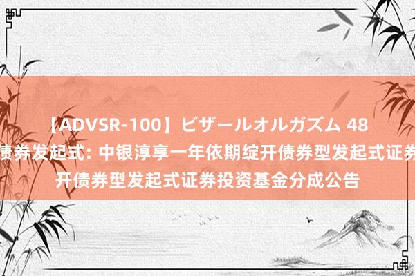 【ADVSR-100】ビザールオルガズム 48 中银淳享一年定开债券发起式: 中银淳享一年依期绽开债券型发起式证券投资基金分成公告