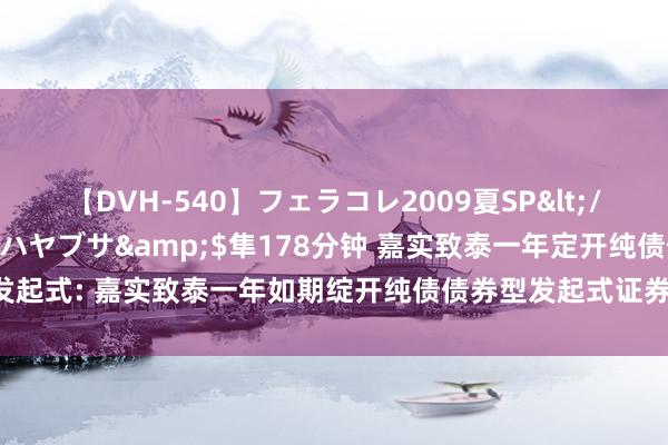 【DVH-540】フェラコレ2009夏SP</a>2010-04-25ハヤブサ&$隼178分钟 嘉实致泰一年定开纯债债券发起式: 嘉实致泰一年如期绽开纯债债券型发起式证券投资基金2024年第一次收益分拨公告