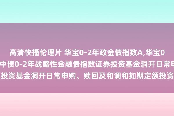 高清快播伦理片 华宝0-2年政金债指数A，华宝0-2年政金债指数C: 华宝中债0-2年战略性金融债指数证券投资基金洞开日常申购、赎回及和调和如期定额投资业务的公告