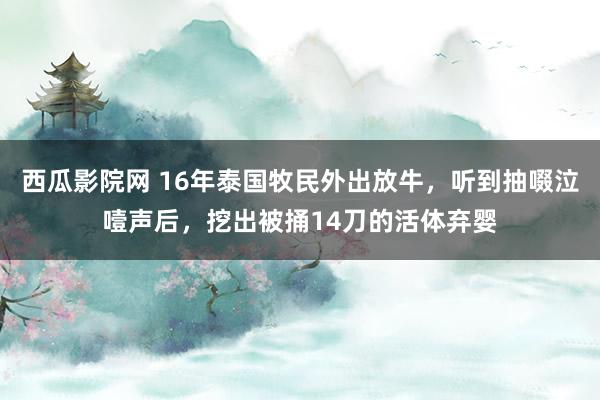 西瓜影院网 16年泰国牧民外出放牛，听到抽啜泣噎声后，挖出被捅14刀的活体弃婴