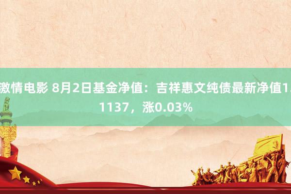 激情电影 8月2日基金净值：吉祥惠文纯债最新净值1.1137，涨0.03%