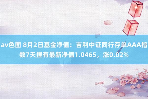 av色图 8月2日基金净值：吉利中证同行存单AAA指数7天捏有最新净值1.0465，涨0.02%