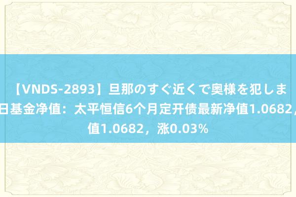 【VNDS-2893】旦那のすぐ近くで奥様を犯します。 8月2日基金净值：太平恒信6个月定开债最新净值1.0682，涨0.03%