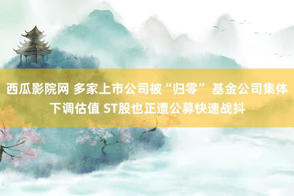 西瓜影院网 多家上市公司被“归零” 基金公司集体下调估值 ST股也正遭公募快速战抖