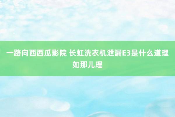 一路向西西瓜影院 长虹洗衣机泄漏E3是什么道理如那儿理