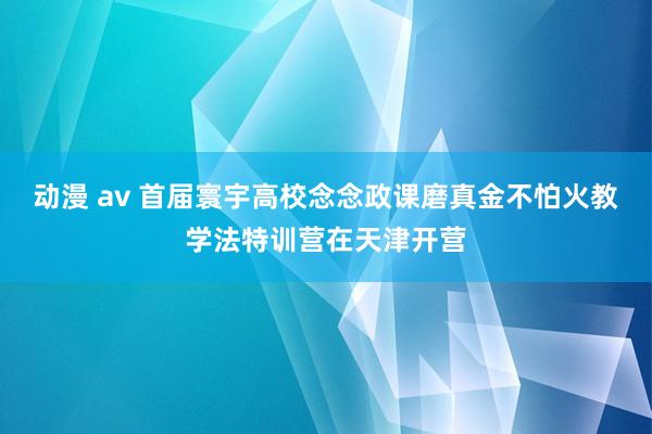 动漫 av 首届寰宇高校念念政课磨真金不怕火教学法特训营在天津开营