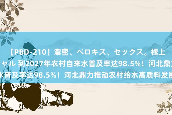 【PBD-210】濃密、ベロキス、セックス。極上接吻性交 8時間スペシャル 到2027年农村自来水普及率达98.5%！河北鼎力推动农村给水高质料发展