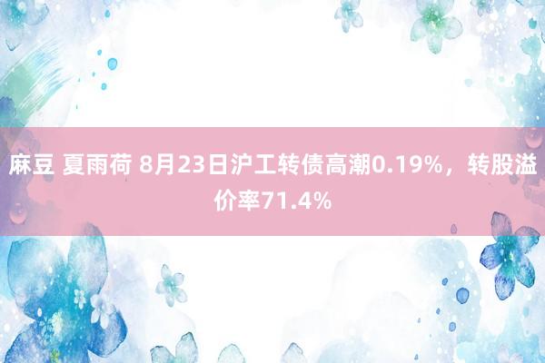 麻豆 夏雨荷 8月23日沪工转债高潮0.19%，转股溢价率71.4%