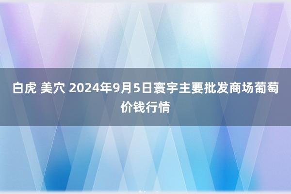 白虎 美穴 2024年9月5日寰宇主要批发商场葡萄价钱行情