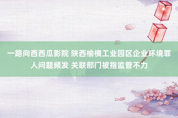 一路向西西瓜影院 陕西榆横工业园区企业环境罪人问题频发 关联部门被指监管不力