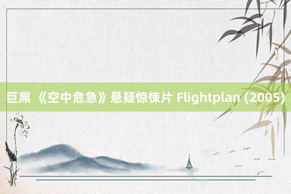 巨屌 《空中危急》悬疑惊悚片 Flightplan (2005)