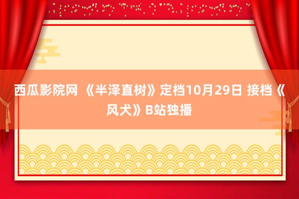 西瓜影院网 《半泽直树》定档10月29日 接档《风犬》B站独播